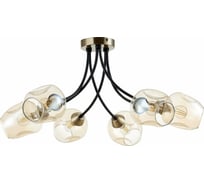 Потолочная люстра Evoluce Besano SLE205302-06