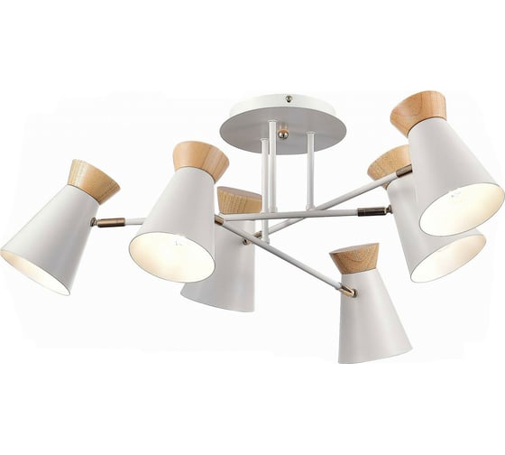 Потолочная люстра Evoluce Alfeo SLE1252-502-06