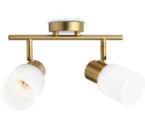 Спот Ambrella Light Traditional TR3969