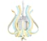 Подвесная люстра Ambrella Light Line FL112 1