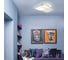 Накладной светильник Ambrella Light Ice FA147 5