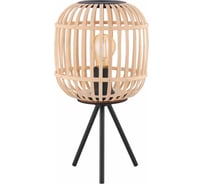 Настольная декоративная лампа EGLO Bordesley 43218