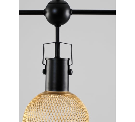 Потолочный светильник Moderli Alina V2801-3C