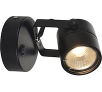 Настенный светильник ARTE LAMP A1311AP-1BK