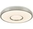 Накладной светильник Ambrella Light Design FF82 1