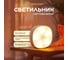 Светодиодный светильник Neon-Night portal 503-853 2
