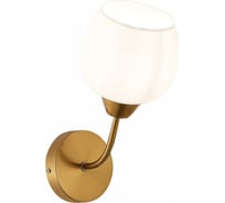 Бра Evoluce Tratti SLE1136-301-01