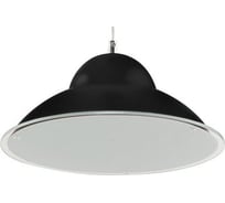 Светодиодный подвесной светильник HOROZ ELECTRIC 15W, Чёрный, 4000K, 220-240V 020-005-0015 HRZ00000787