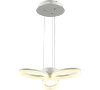 Светодиодная люстра HOROZ ELECTRIC ELEGANCE-24 24W Белый 4000K 220-240V 019-006-0024 HRZ00000816