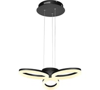 Светодиодная люстра HOROZ ELECTRIC ELEGANCE-24 24W Черный 4000K 220-240V 019-006-0024 HRZ00000817