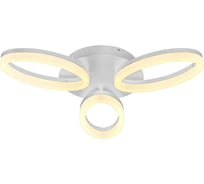 Светодиодная люстра HOROZ ELECTRIC AVANGARD-24 24W, Белый, 4000K, 220-240V 019-005-0024 HRZ00000812