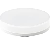 Светодиодная лампа Ambrella Light Present 253135