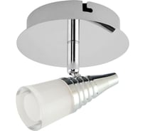 Декоративный потолочный светильник HOROZ ELECTRIC DIDIM-2 5W Хром 4000K 220-240V 036-005-0002 HRZ00000427