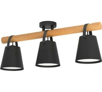 Светильник на штанге EGLO Boyle 43635