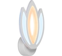 Накладной светильник Ambrella Light Original FA453
