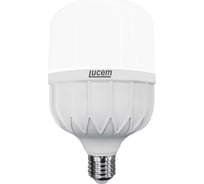 Светодиодная лампа Vesta Electric lucem lm-lcb 20w 6500k FLLCB202765L