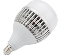 Светодиодная лампа высокой мощности Сириус А HP 100W 6500K 7000Лм E27 (+переходник на Е40) HP-100W-65K