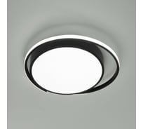 Потолочный светильник Eurosvet 90251 1 черный a057125