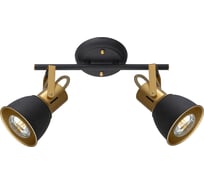 Потолочный светильник ARTE LAMP A1677PL-2GO