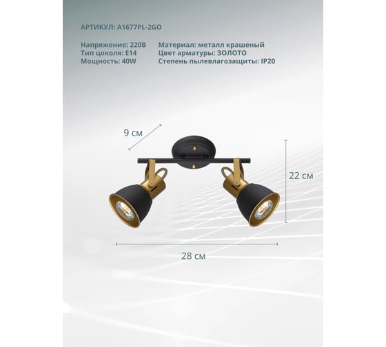 Потолочный светильник ARTE LAMP A1677PL-2GO