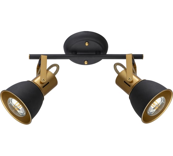 Потолочный светильник ARTE LAMP A1677PL-2GO