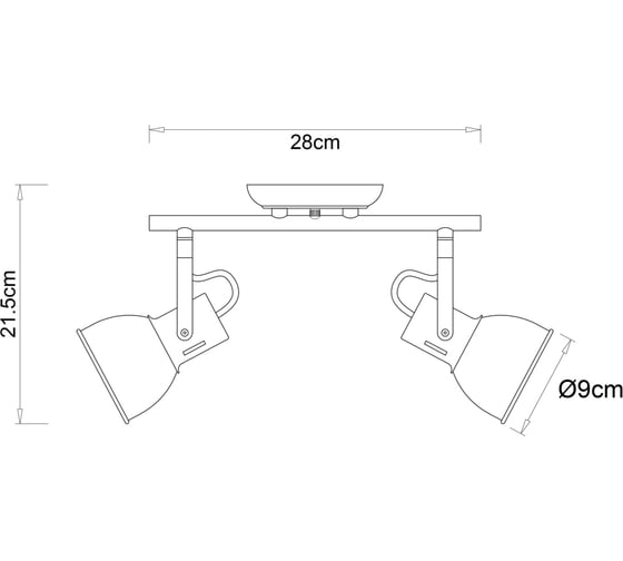 Потолочный светильник ARTE LAMP A1677PL-2GO