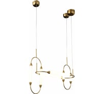 Подвесная люстра ST luce Olbia SL6004.303.06