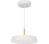 Светильник Arlight SP-ELEGANT-R300-17W Day4000 033919