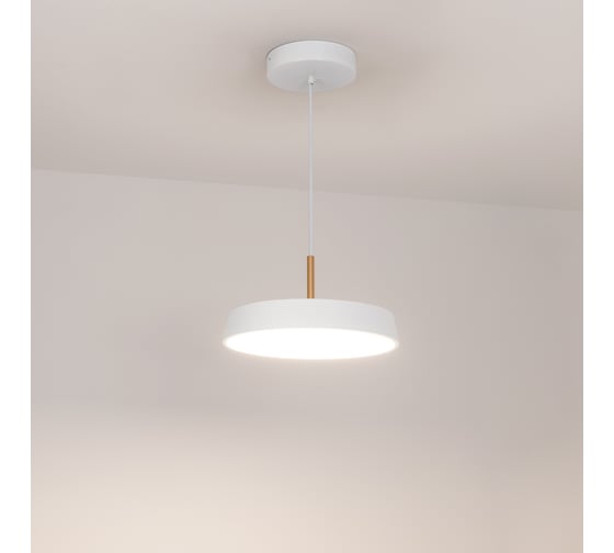 Светильник Arlight SP-ELEGANT-R300-17W Day4000 033919