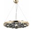 Подвесная люстра ST luce Olmi SL1510.203.06 1