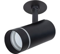 Потолочный светильник ARTE LAMP A3221PL-1BK