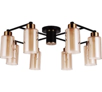Потолочный светильник ARTE LAMP A7027PL-8BK