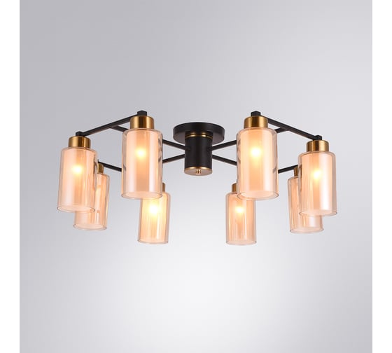 Потолочный светильник ARTE LAMP A7027PL-8BK