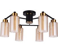 Потолочный светильник ARTE LAMP A7027PL-6BK