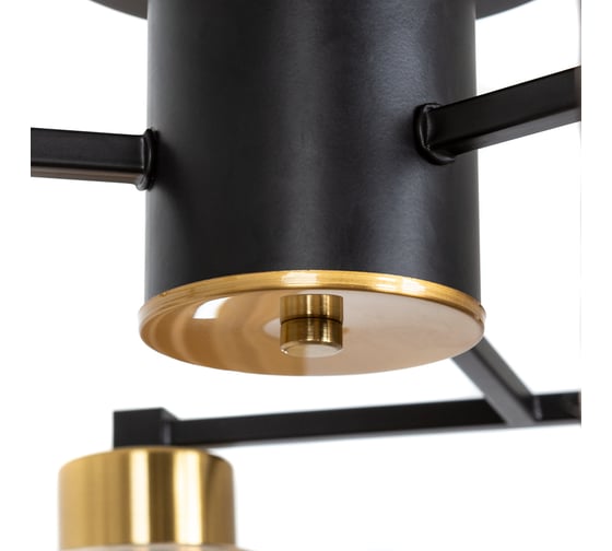 Потолочный светильник ARTE LAMP A7027PL-6BK
