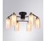 Потолочный светильник ARTE LAMP A7027PL-6BK 2