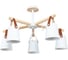 Потолочный светильник ARTE LAMP A7032PL-5WH 1