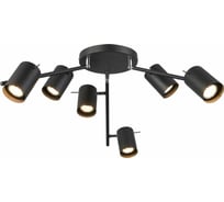 Потолочная люстра ST luce Fanale SL597.402.06