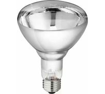 Лампа ИКЗ TDM ELECTRIC S220 В 250 Вт R127 E27 (инд.гофр.упак) Q0343-0037