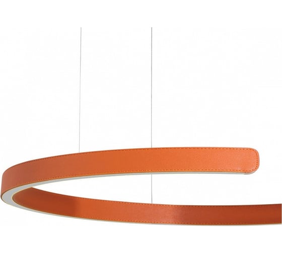 Подвесной светильник LOFT IT Ring 10025/600 Orange