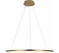 Подвесной светильник LOFT IT Ring 10014L