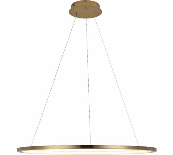 Подвесной светильник LOFT IT Ring 10014L 1