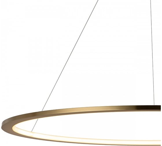 Подвесной светильник LOFT IT Ring 10014L