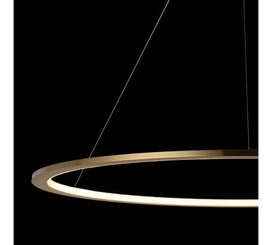 Подвесной светильник LOFT IT Ring 10014L