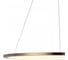 Подвесной светильник LOFT IT Ring 10014L 2