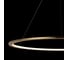 Подвесной светильник LOFT IT Ring 10014L 5