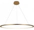 Подвесной светильник LOFT IT Ring 10014L 6
