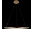 Подвесной светильник LOFT IT Ring 10014L 8