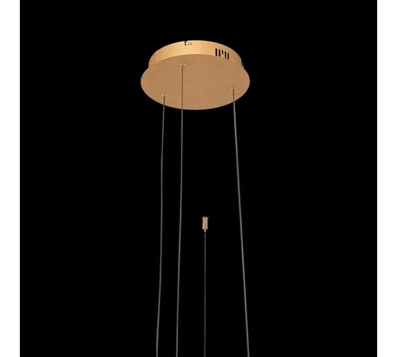 Подвесной светильник LOFT IT Ring 10017/3S