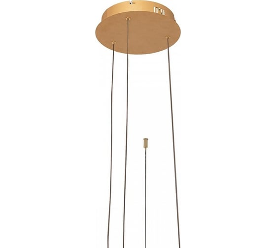 Подвесной светильник LOFT IT Ring 10017/3S